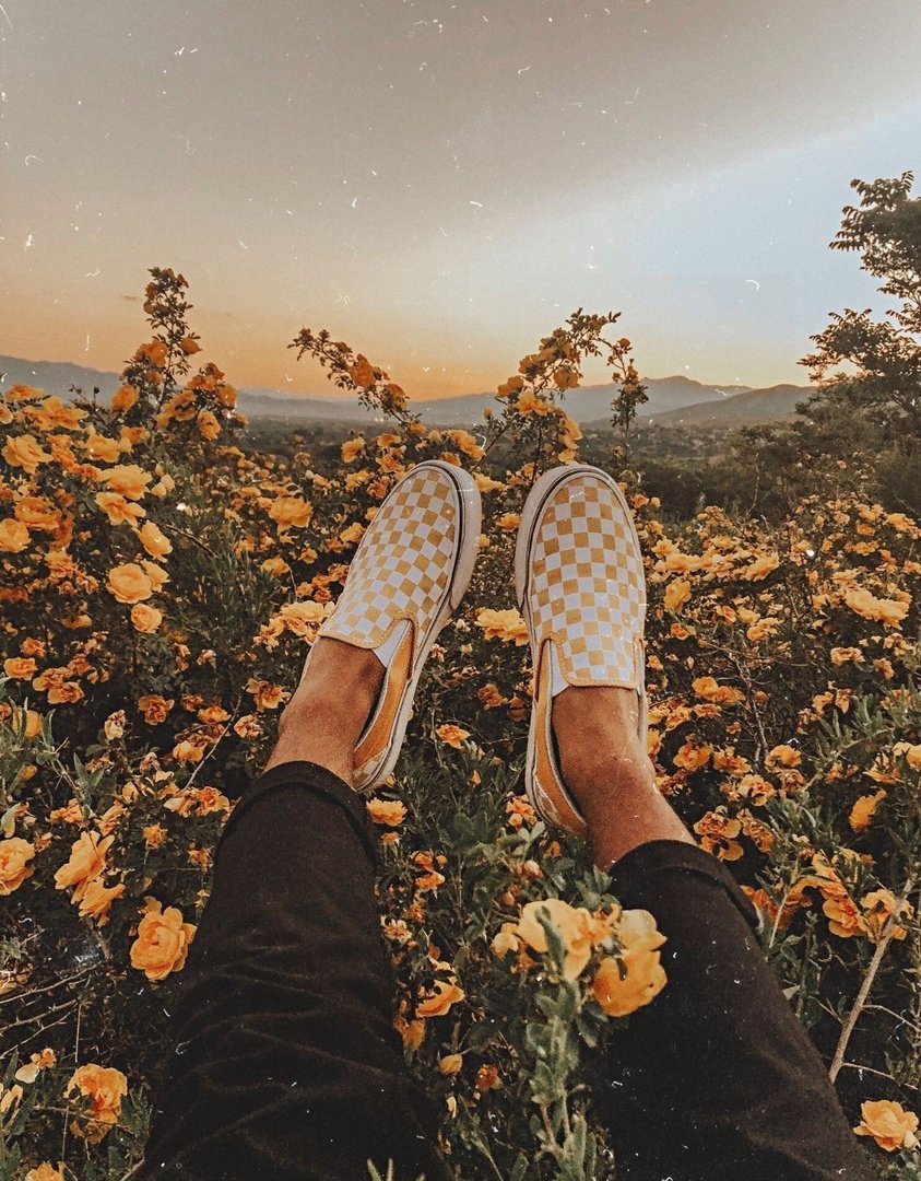 Эстетика чувств