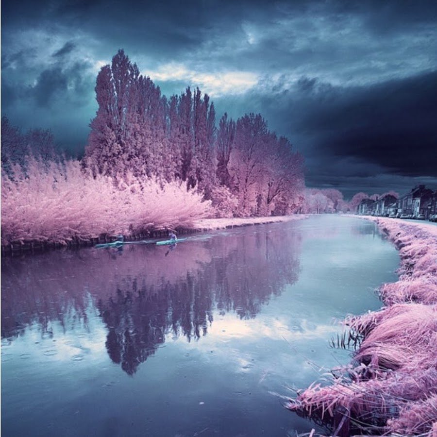 Фотографии на аватарку природа