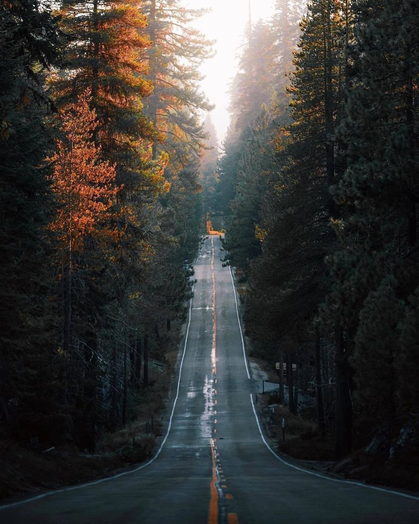 Аватар природа