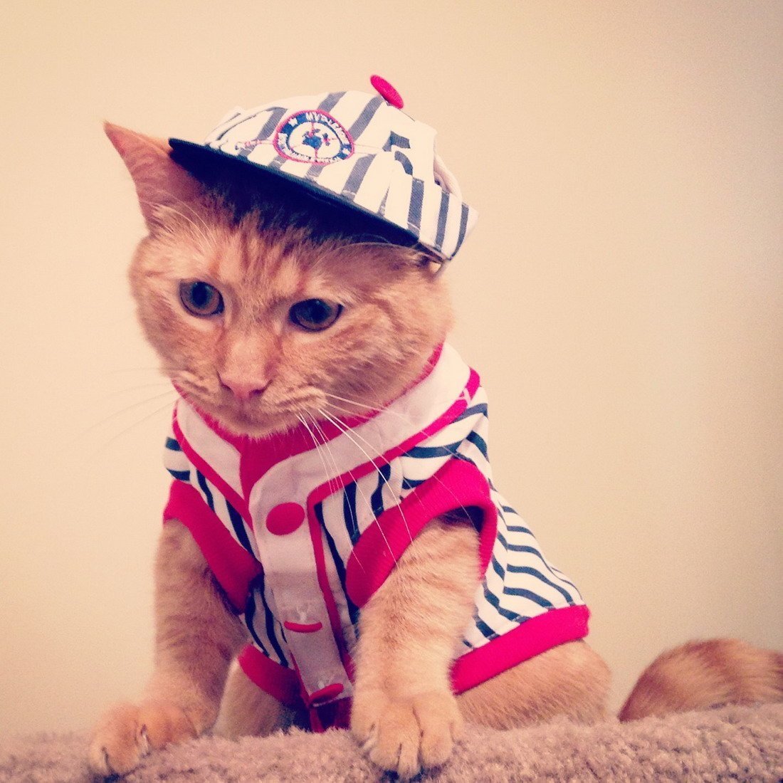 Боташев Осман