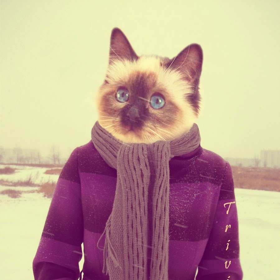 Аватар на авито мужская