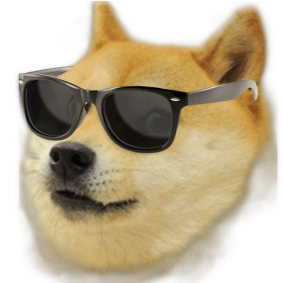 Три смешные собаки