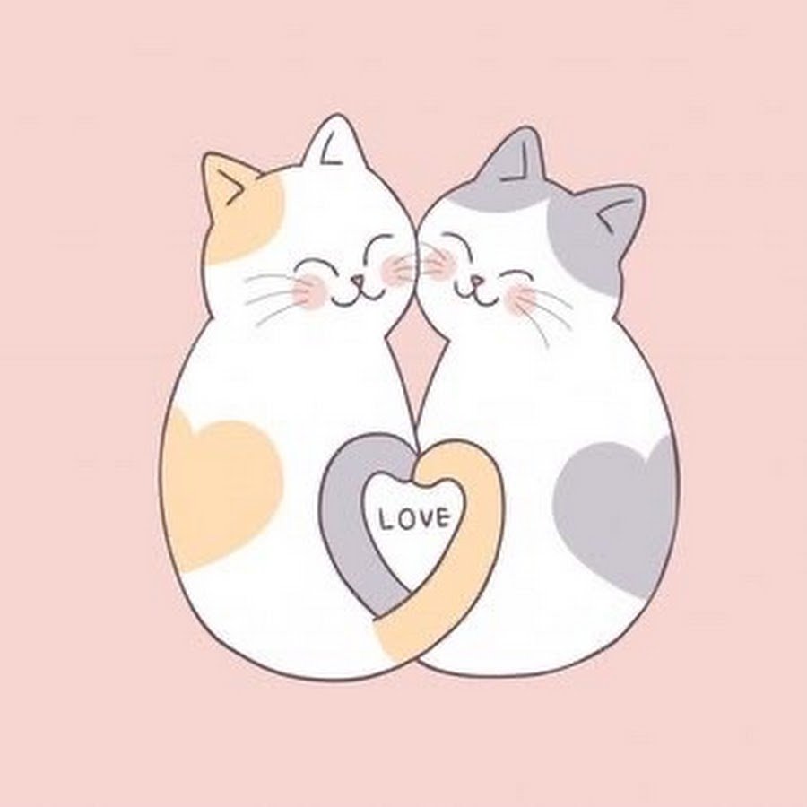 Милые рисунки виде котика