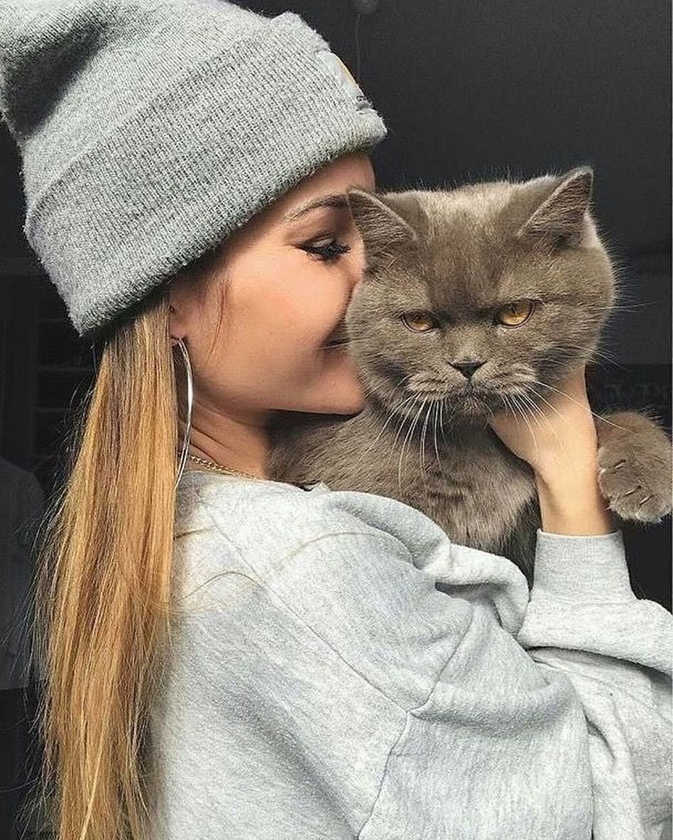 Милый котик с сердечками