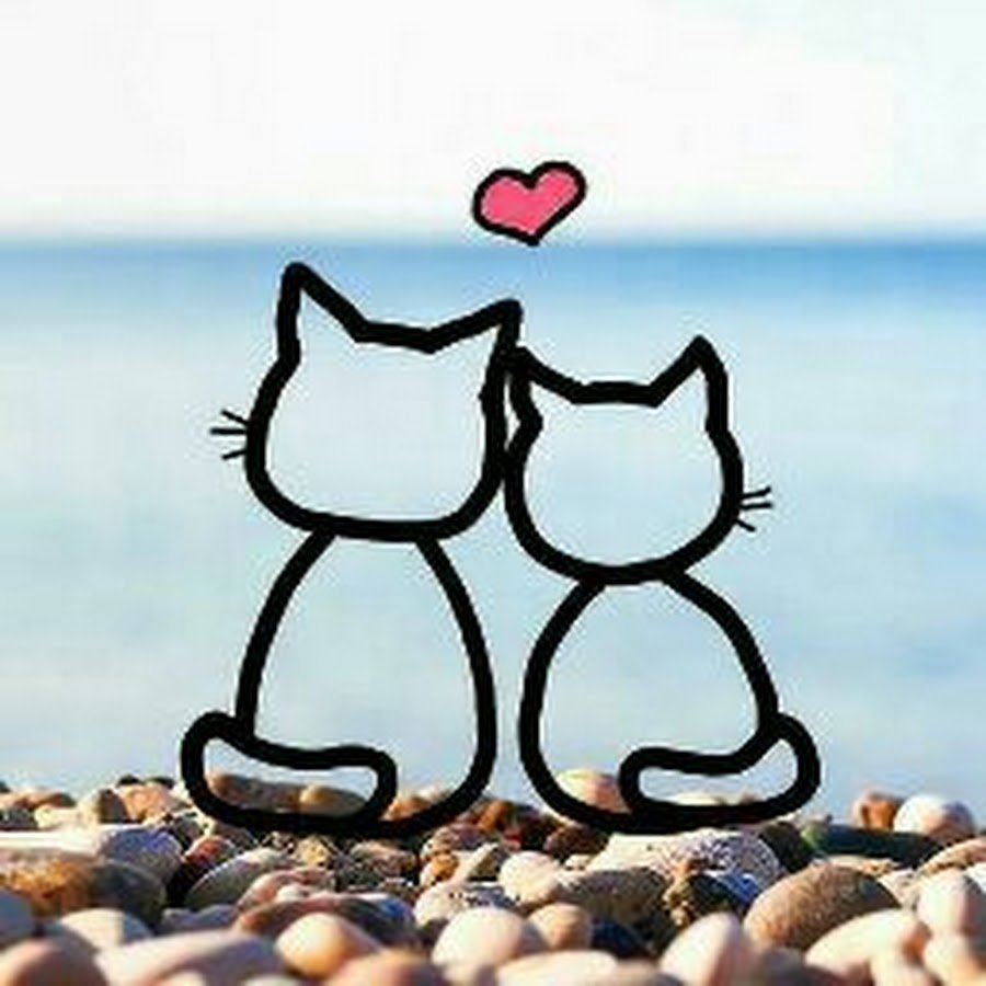 Два котика обнимаются