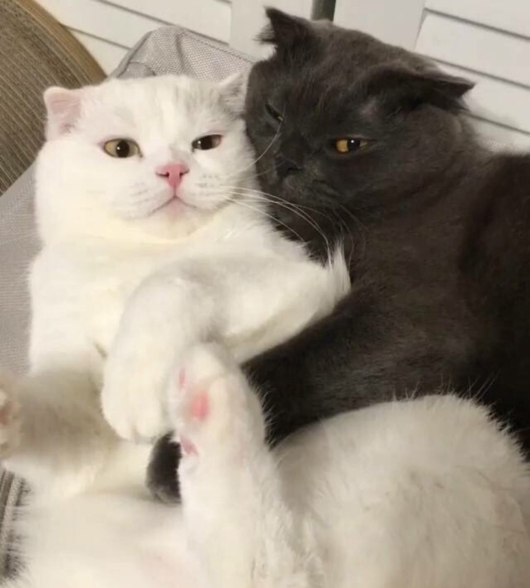 Парная ава для подруг