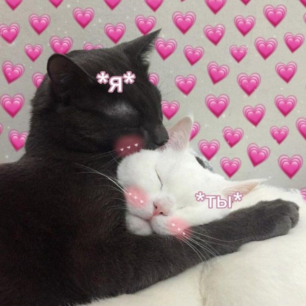 Парная ава аниме для подруг