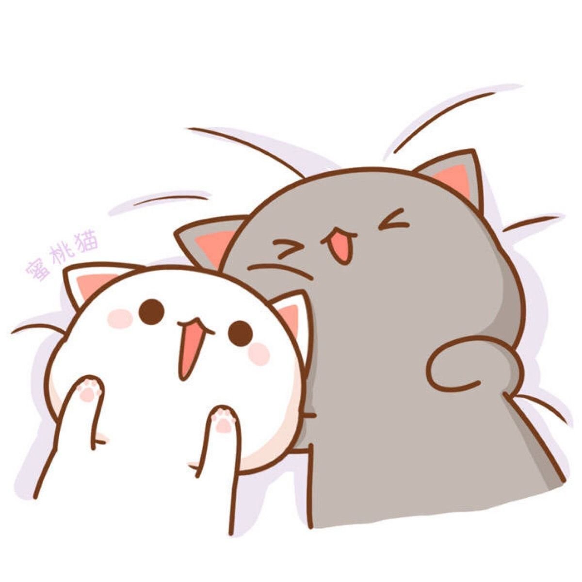 Кавайные котики любовь