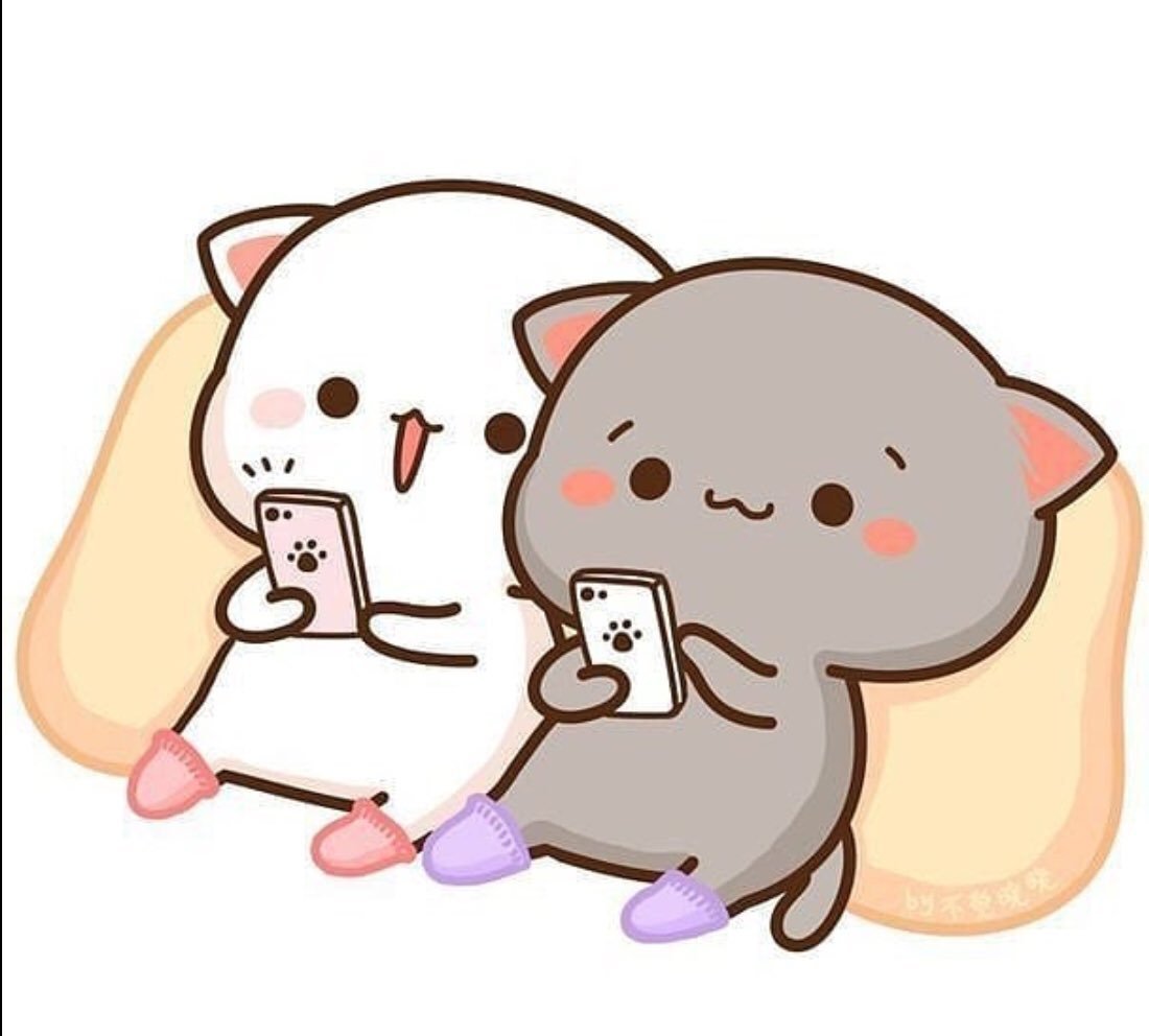 Кот Mochi злой