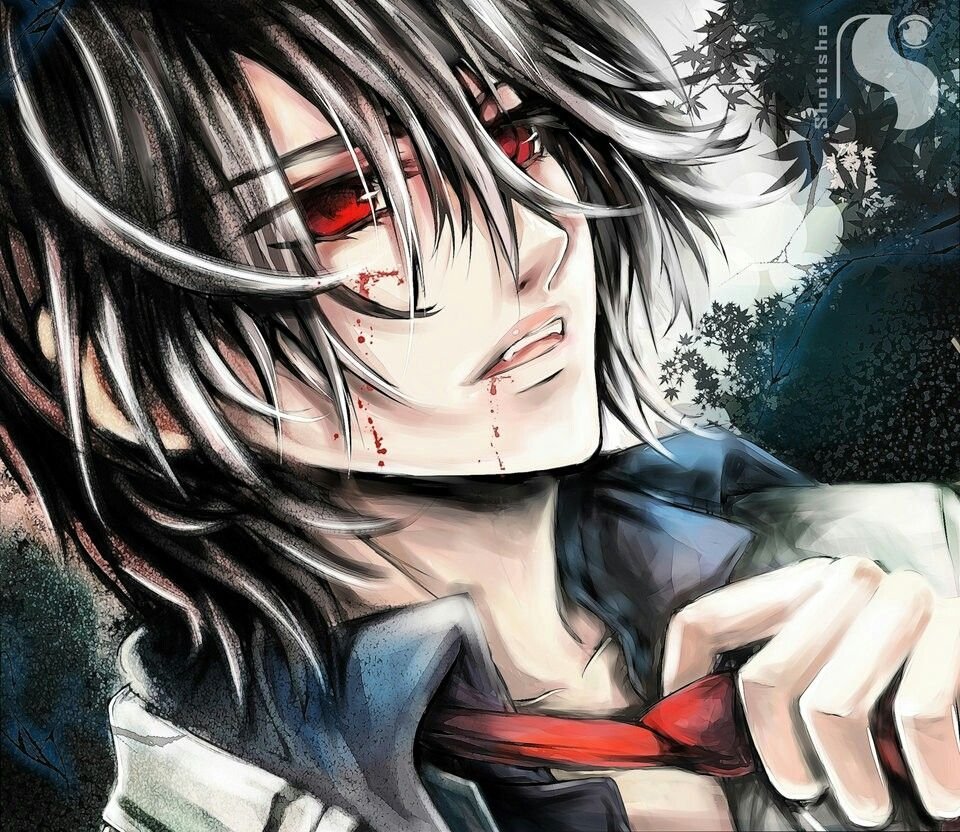 Чернокрылый Король аниме