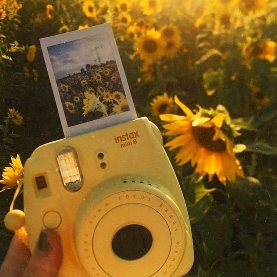 Лето Эстетика желтый