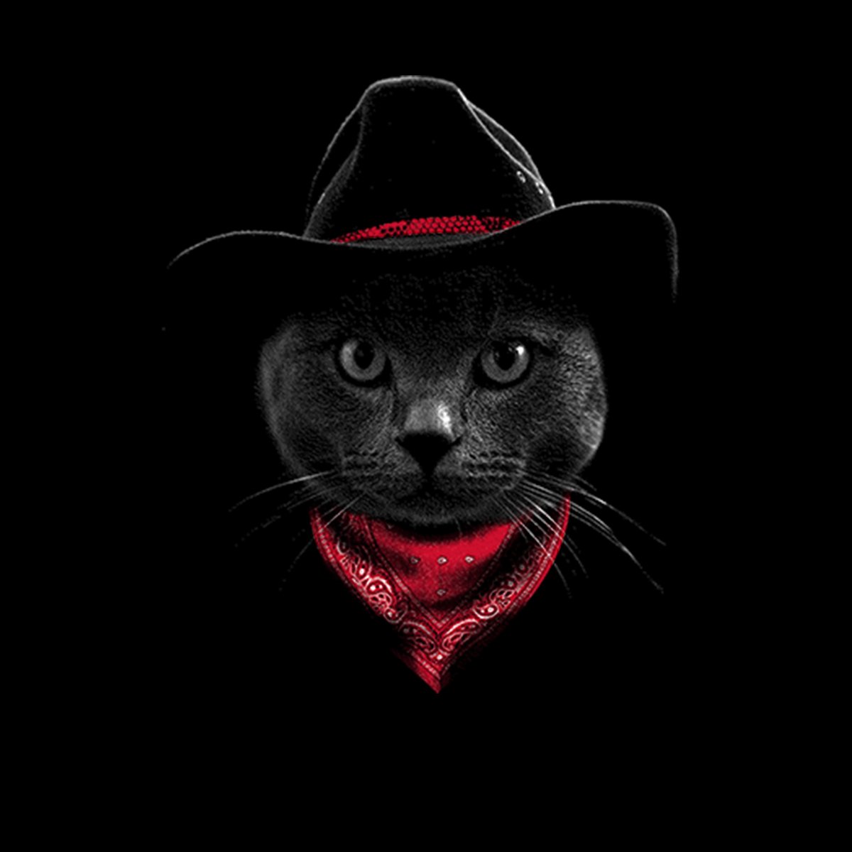 Buff бандана хаски