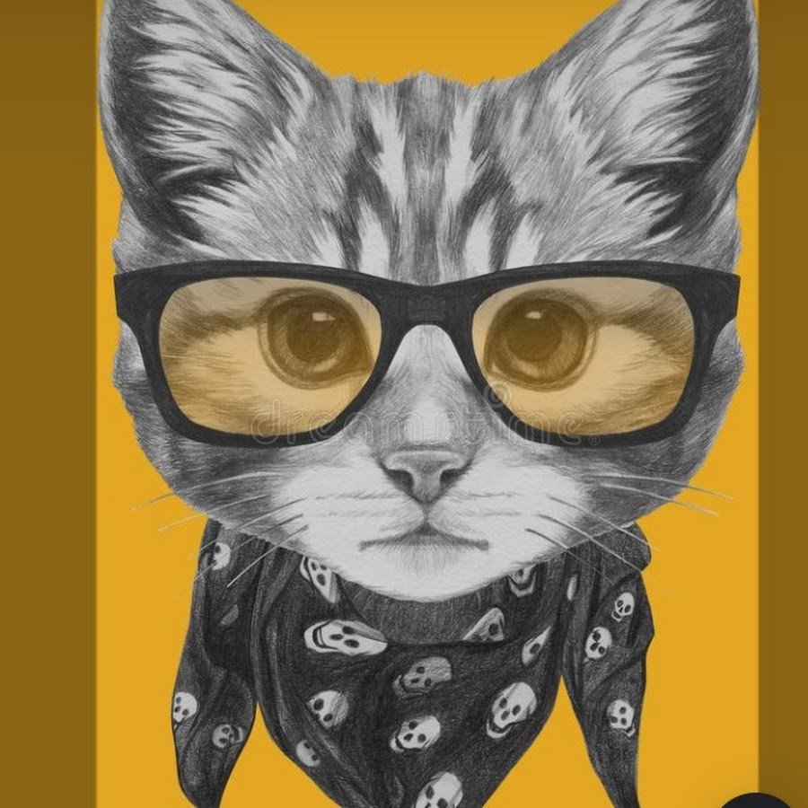 Кот с банданой на шее