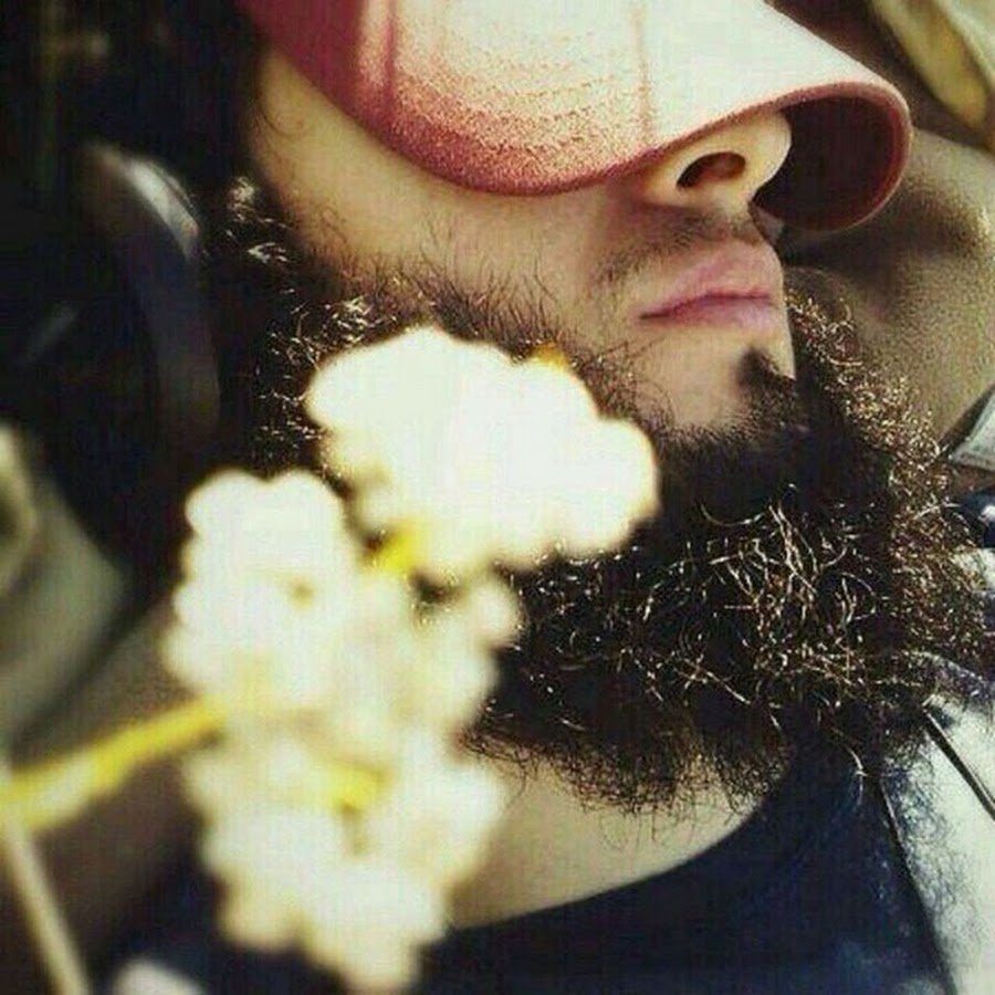 Дневник мусульманки