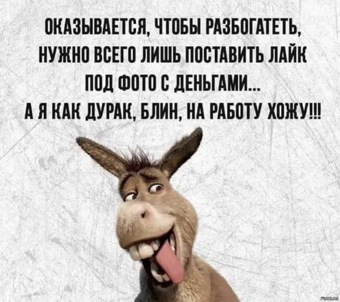 Аватарка дурак