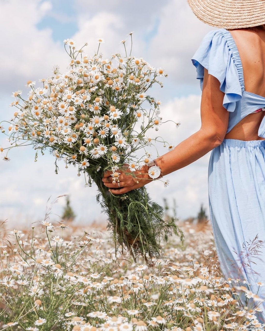 Радужная бабочка