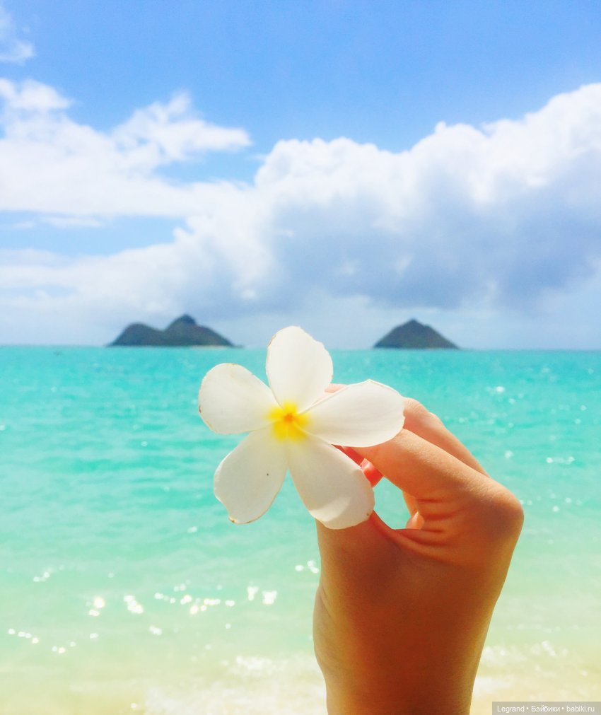 Лето море солнце