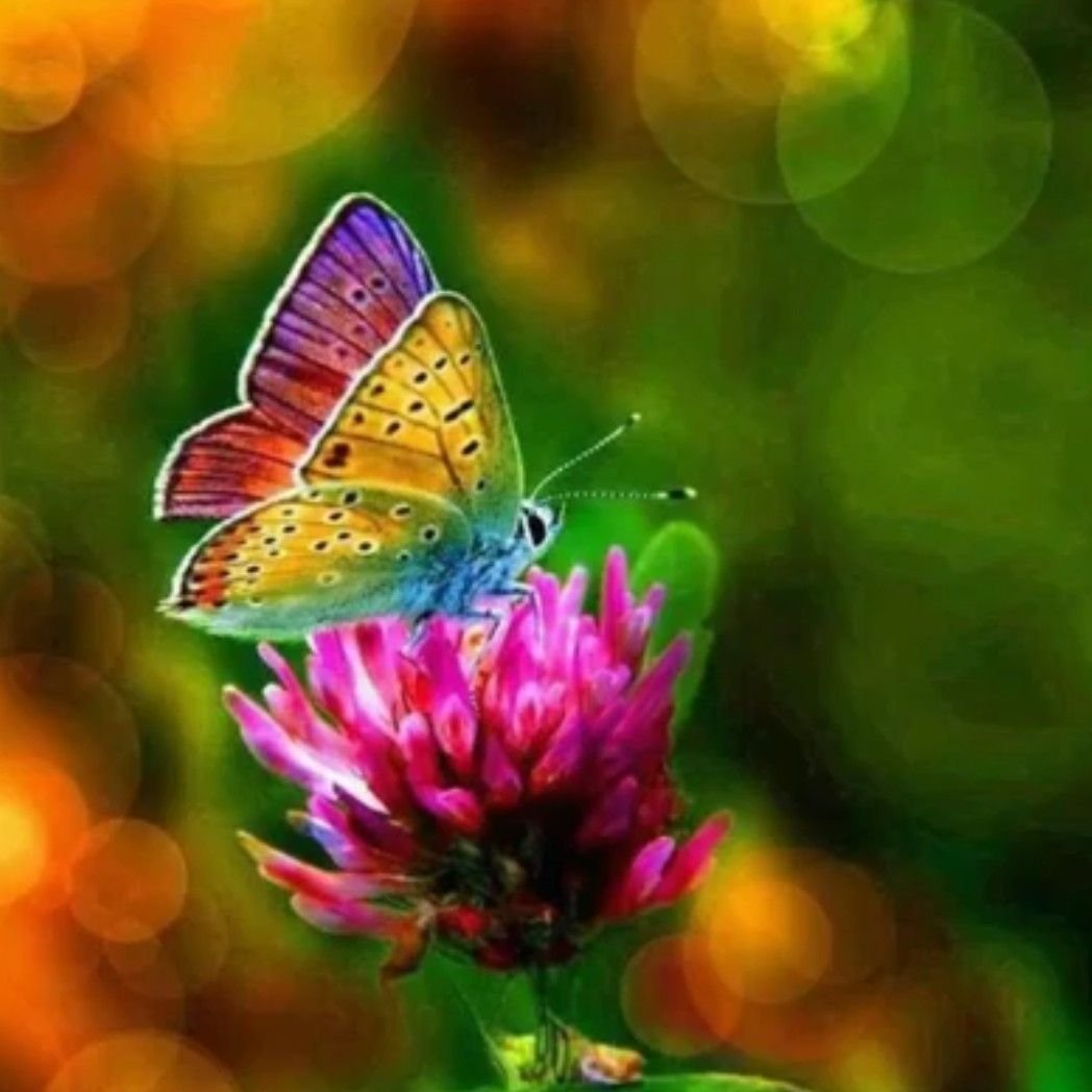 Лето аватарка на ватсап