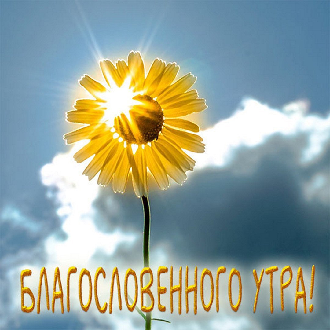 Мультяшные девушки с цветами