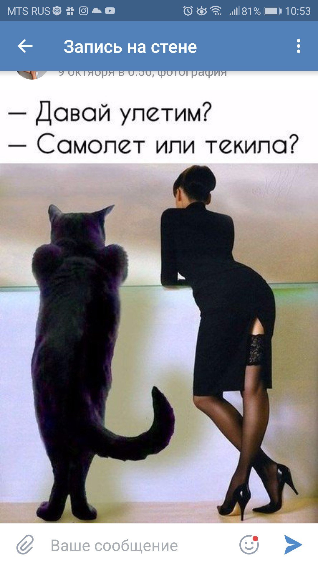 Кот Бегемот протестую Достоевский бессмертен