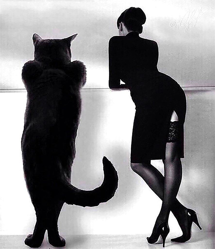 Кот Бегемот мастер и Маргарита арт