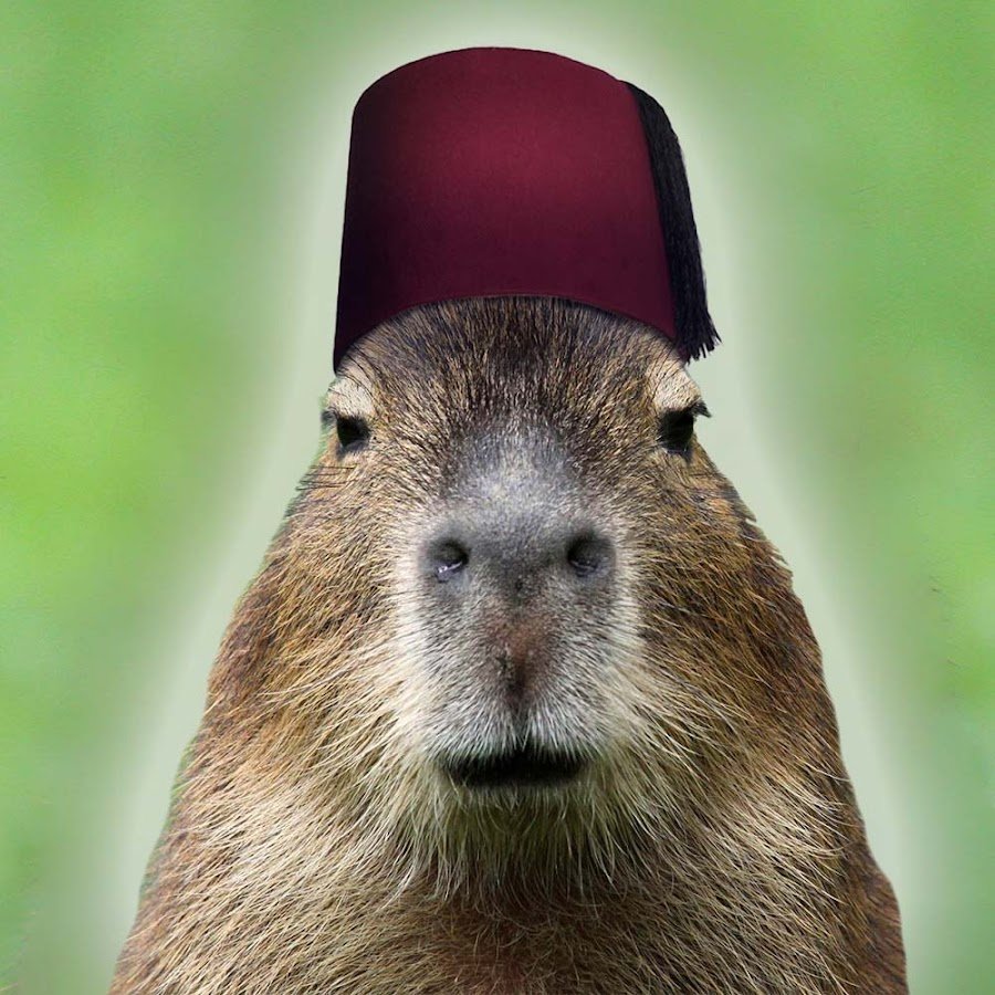 Капибара Джо Джо