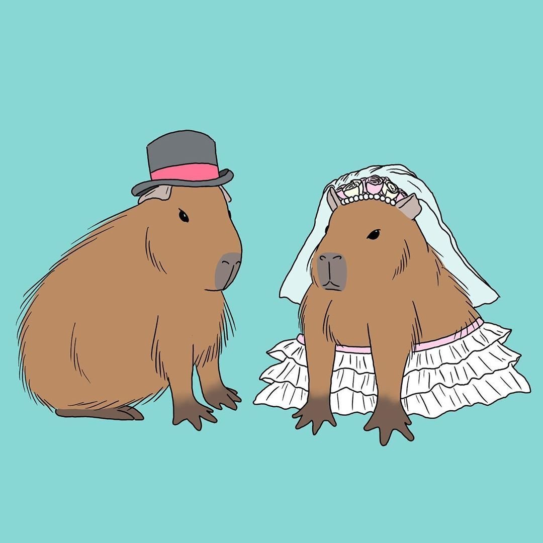 Капибара аниме ава