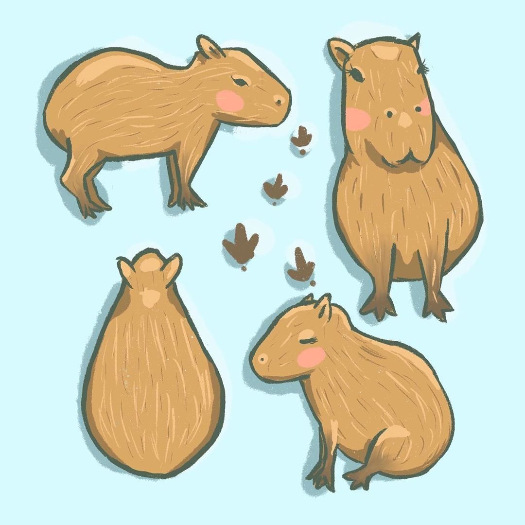 Капибара Жираф