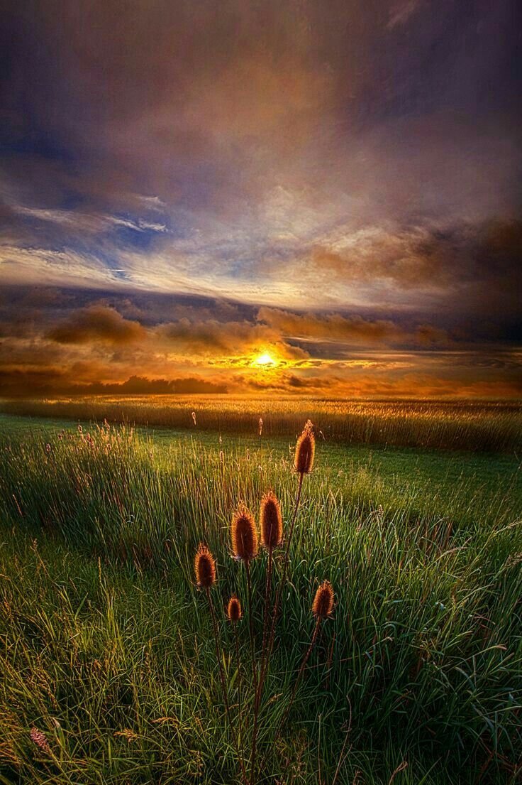 Красивые дороги