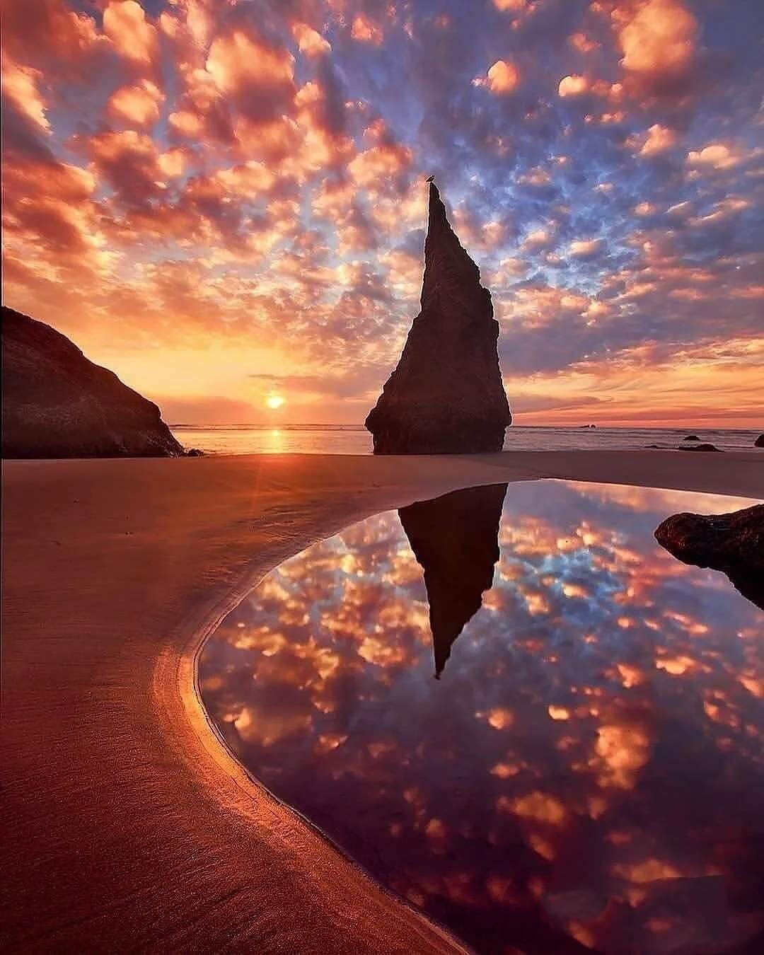 Зафидин Ахмедбеков