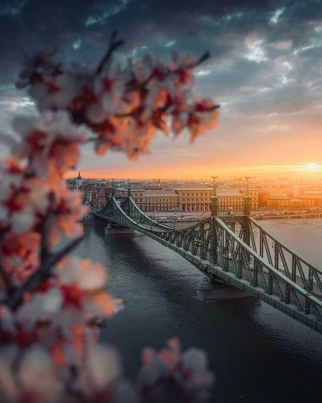 Холодный лес