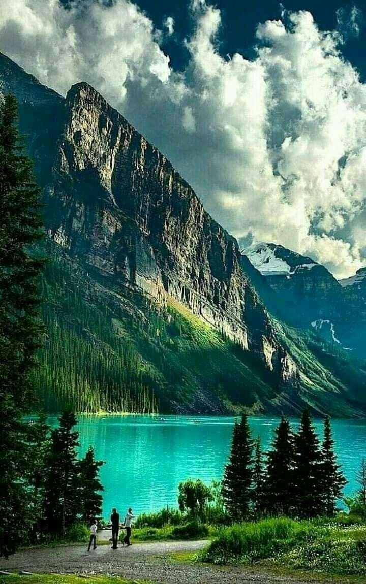 Картинки на аватарку природа