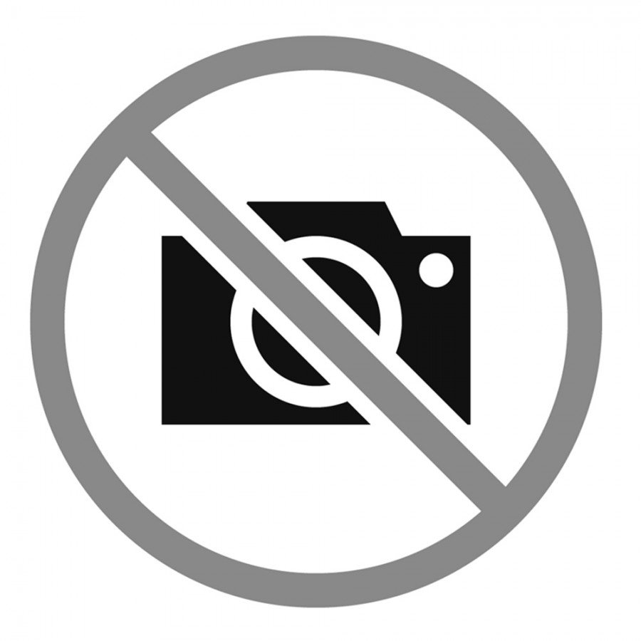 Элли Медейрос