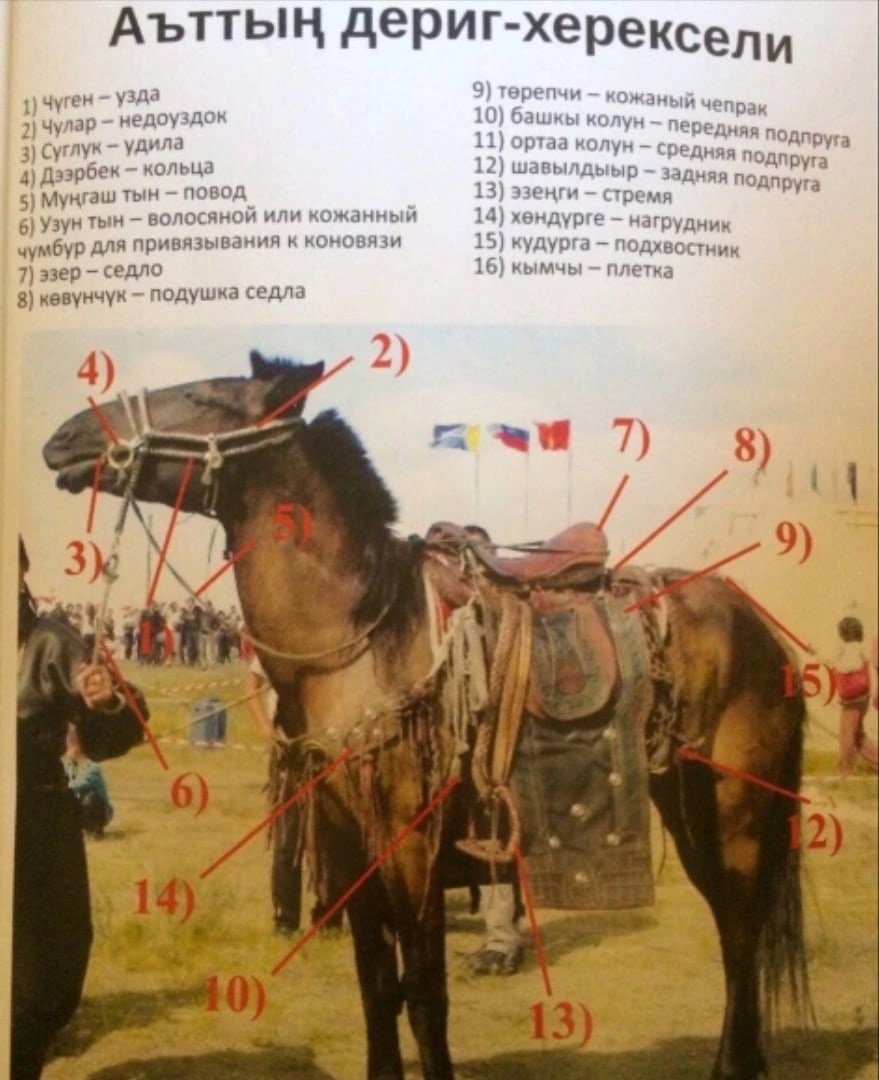 Стих на татарском мэхэббэт