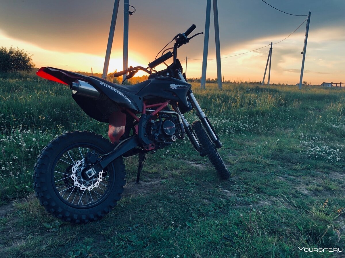 Питбайк Кайо 125 в лесу