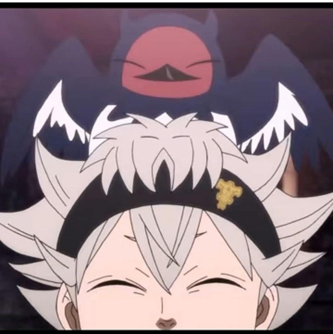 Аниме чёрный Клевер Неро и Аста