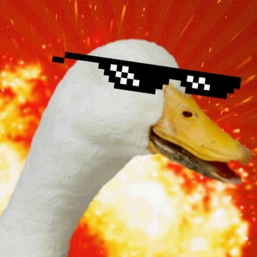 Уточка на аву