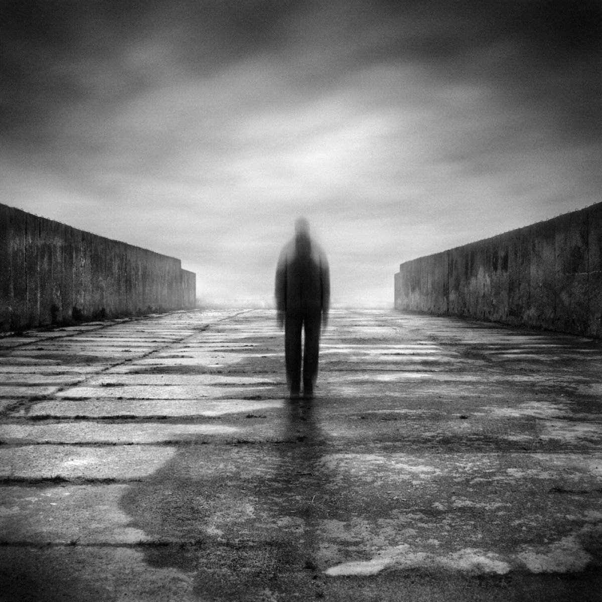 Мартин странка (Martin stranka)