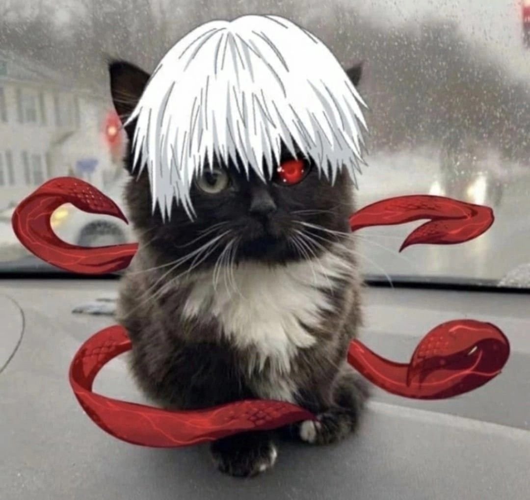 Котик гуль на аву