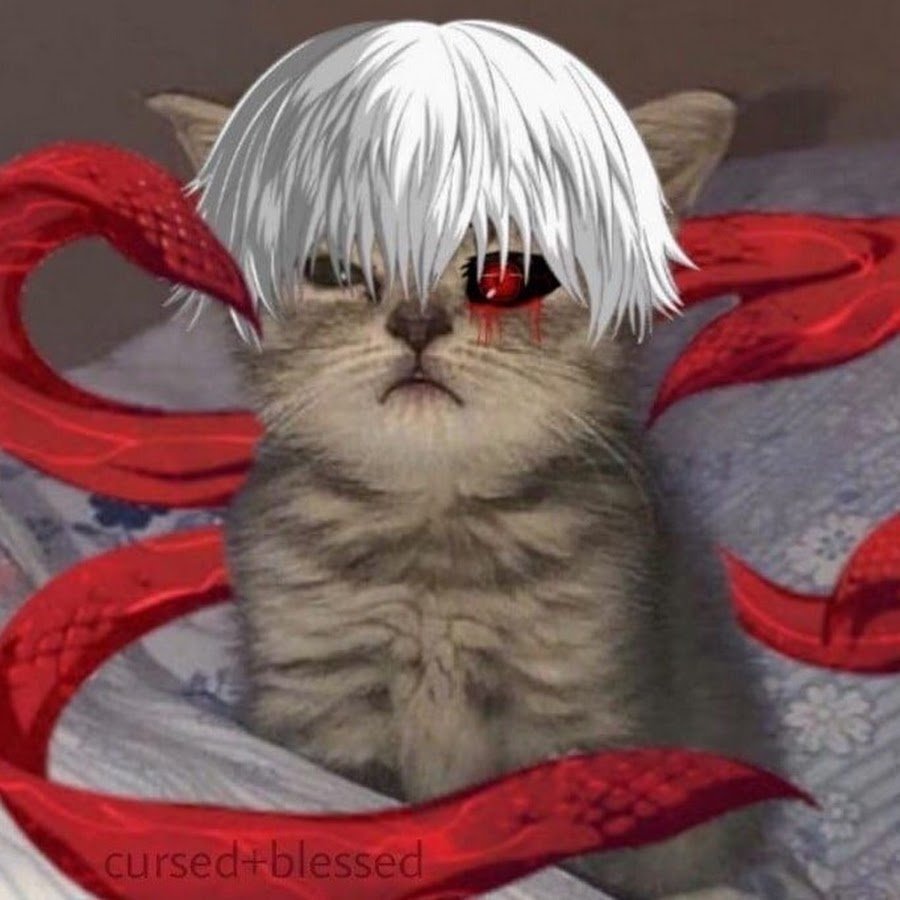 Канеки Чиби неко