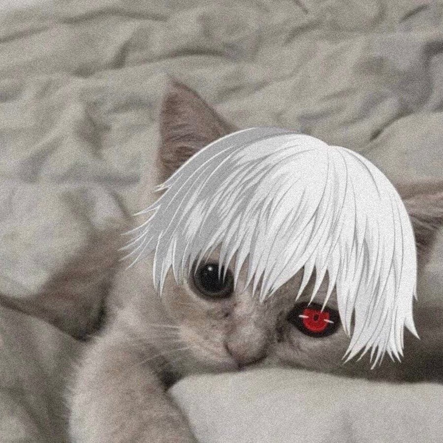 Кот гуль Канеки