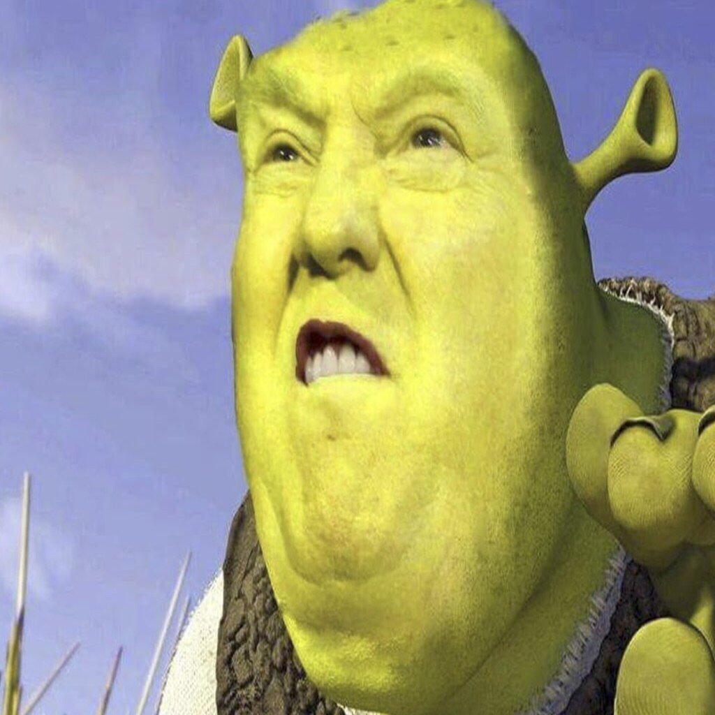 Прошу прощения зря быка