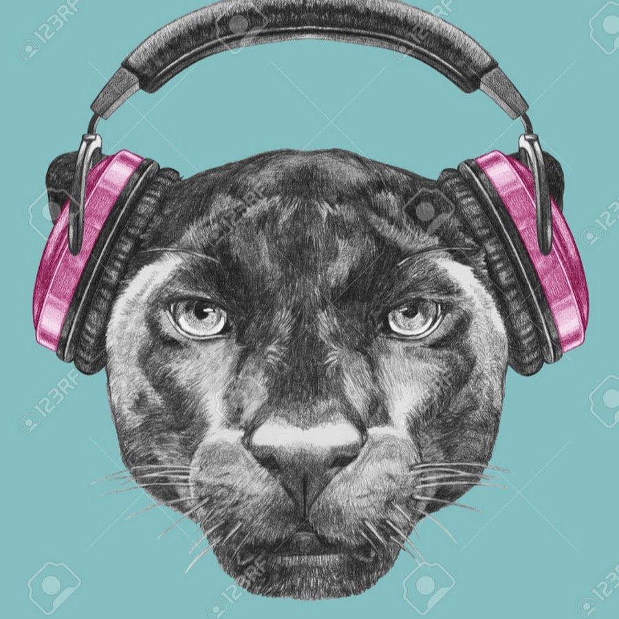 Пума черная