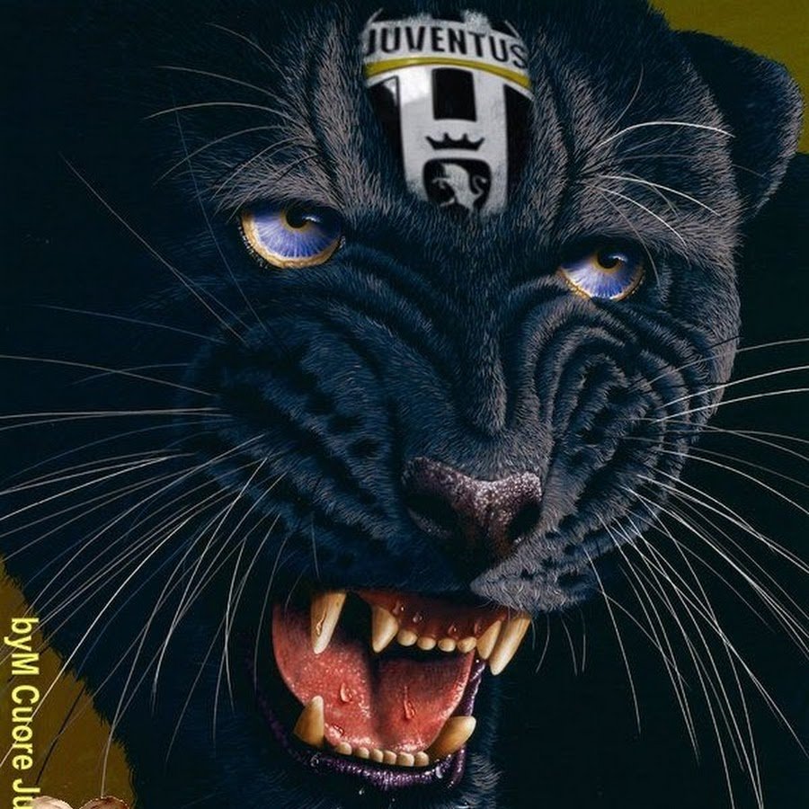 Оскал ягуара