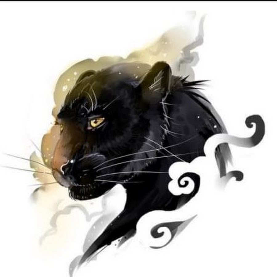 Взгляд хищника