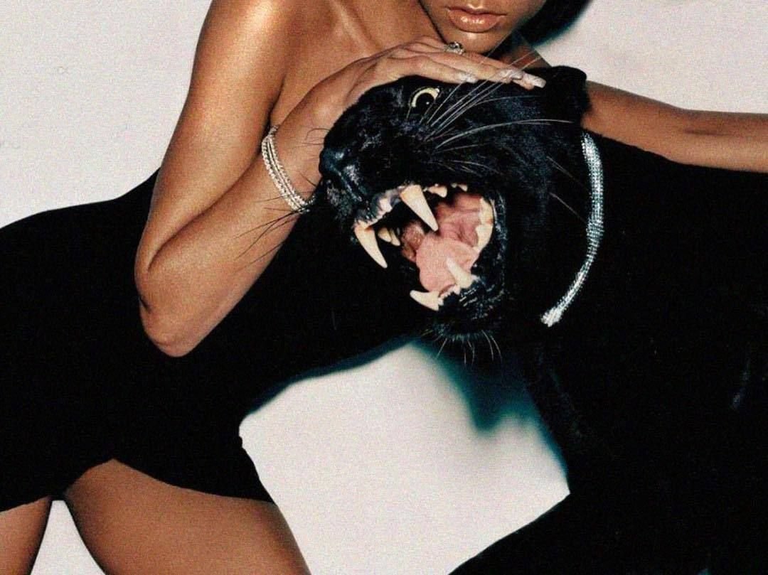 Пантера морда