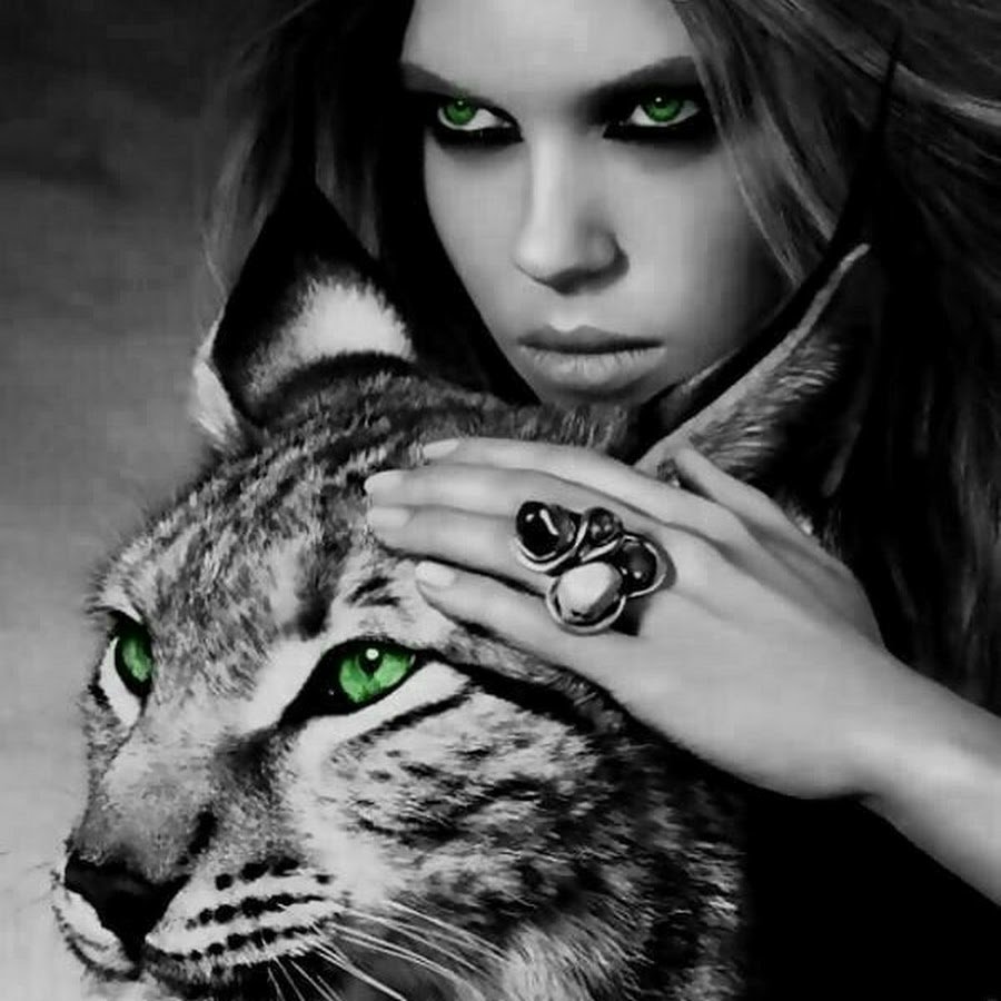 Пантера обои