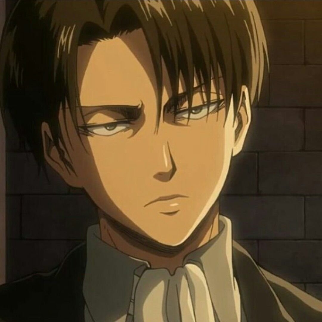 Аниме Манга атака титанов Микаса