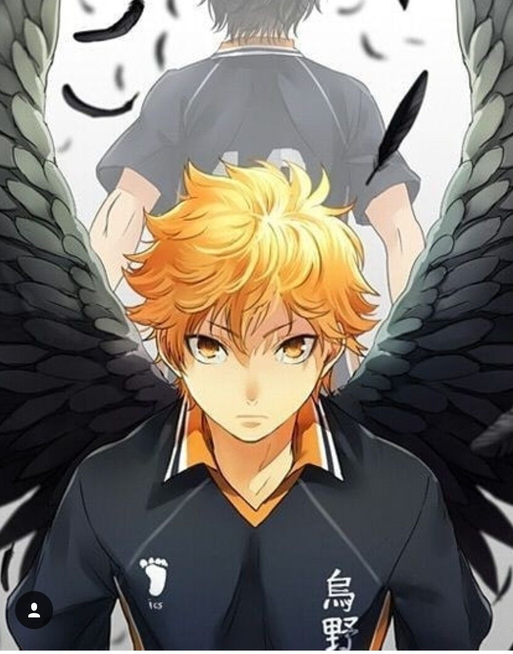 Хината шоё аниме