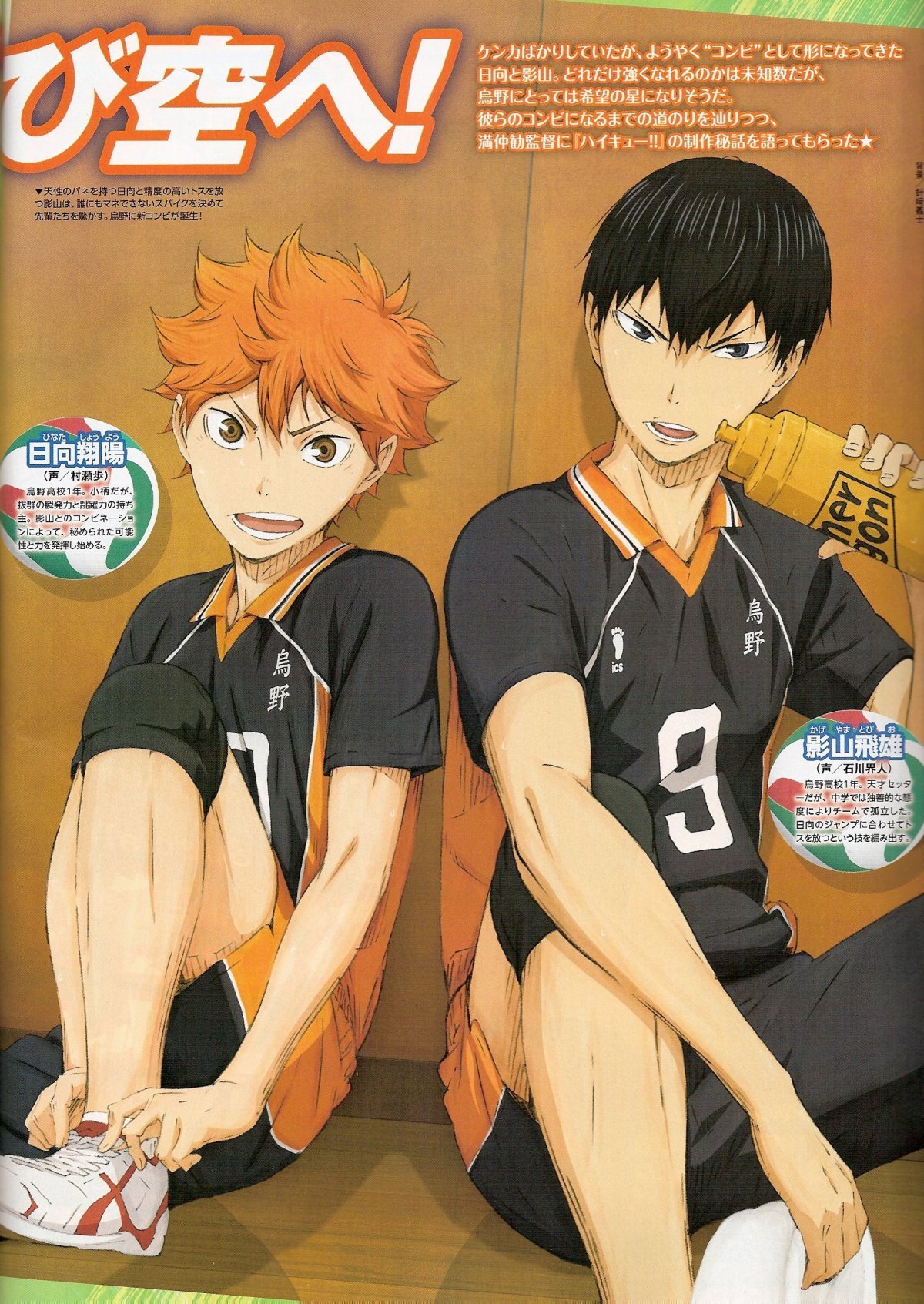 Хината шоё Эстетика